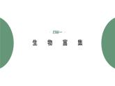 3.3.2 生物富集及探究土壤微生物的分解作用-2023-2024学年高二生物人教版选择性必修2课件