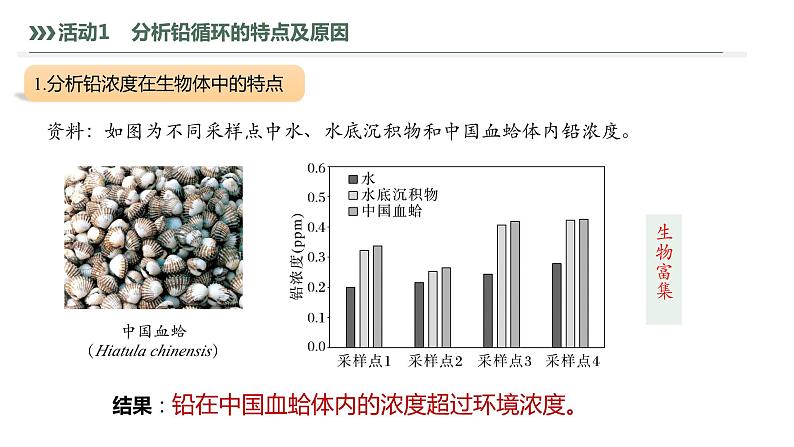 3.3.2 生物富集及探究土壤微生物的分解作用-2023-2024学年高二生物人教版选择性必修2课件第7页