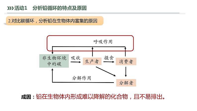 3.3.2 生物富集及探究土壤微生物的分解作用-2023-2024学年高二生物人教版选择性必修2课件第8页