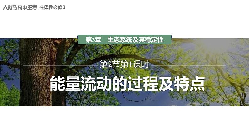 3.2.1 能量流动的过程及特点-2023-2024学年高二生物人教版选择性必修2课件第1页