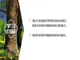 3.2.1 能量流动的过程及特点-2023-2024学年高二生物人教版选择性必修2课件