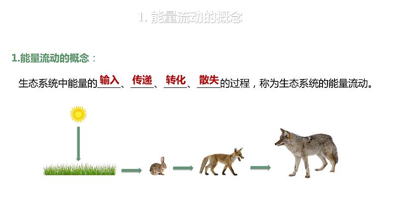 3.2.1 能量流动的过程及特点-2023-2024学年高二生物人教版选择性必修2课件第4页