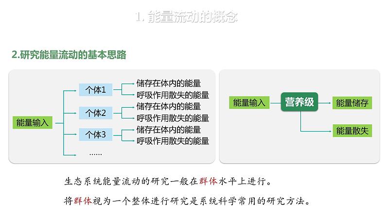 3.2.1 能量流动的过程及特点-2023-2024学年高二生物人教版选择性必修2课件第5页