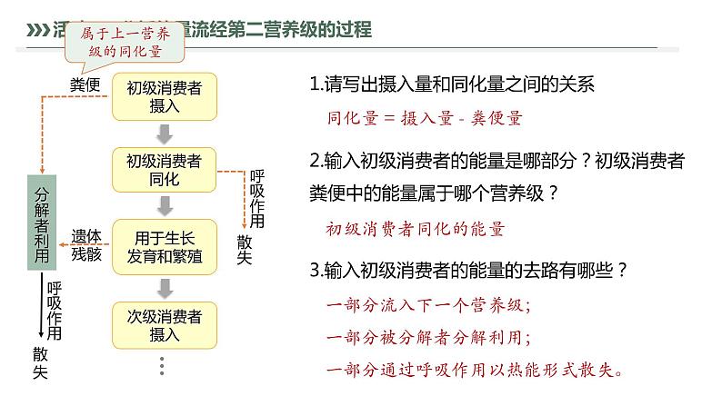 3.2.1 能量流动的过程及特点-2023-2024学年高二生物人教版选择性必修2课件第7页