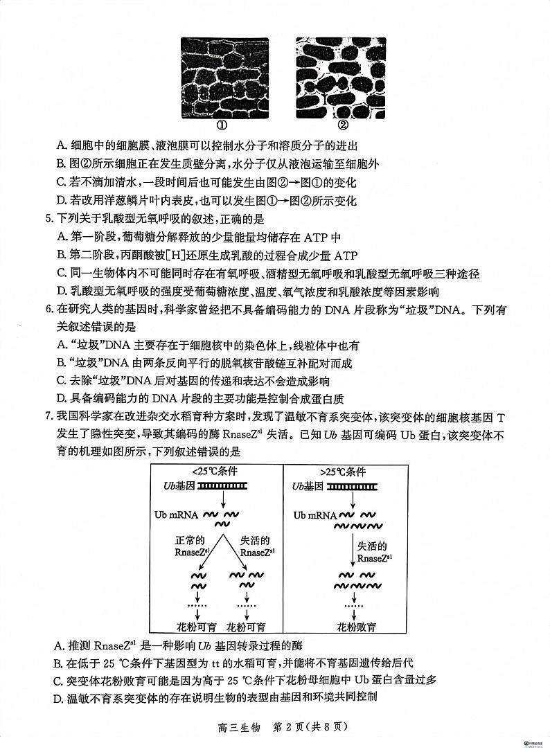 河北省沧州市泊头市高三联考2023-2024学年高三上学期12月月考生物试题02
