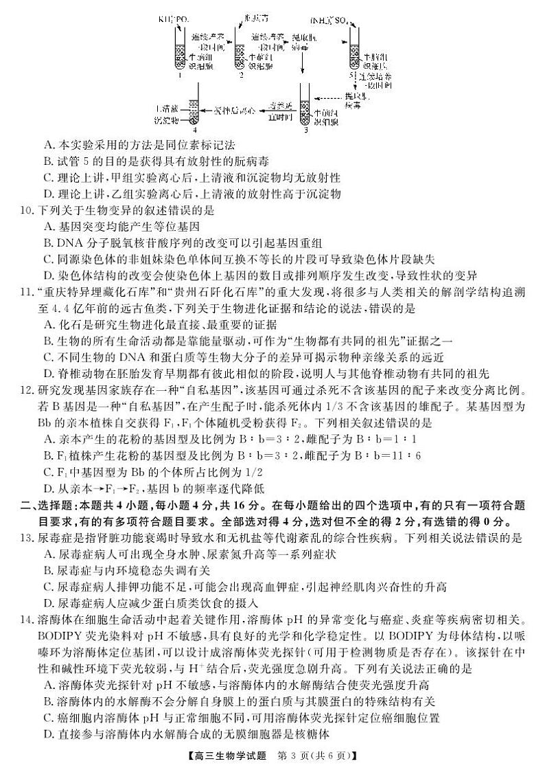 天壹联盟·五市十校教研教改共同体·2024届高三12月大联考 生物第3页