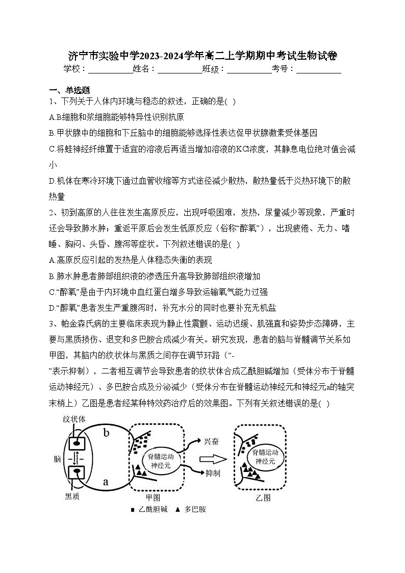 济宁市实验中学2023-2024学年高二上学期期中考试生物试卷(含答案)01