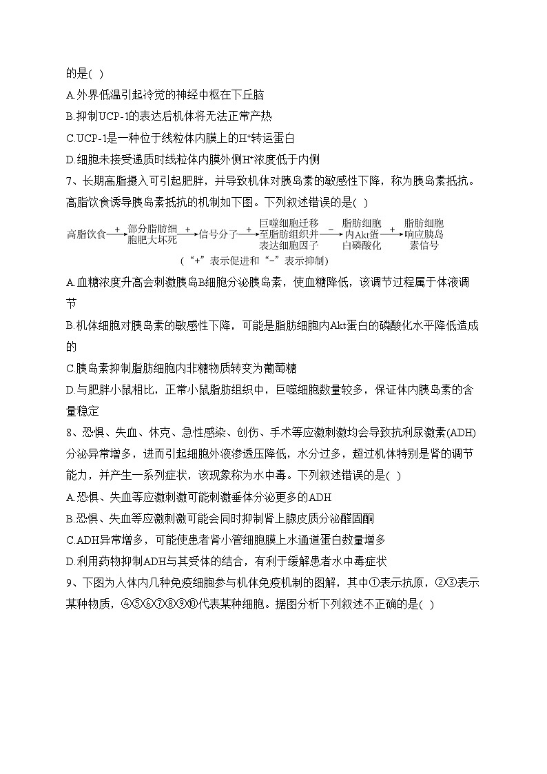 济宁市实验中学2023-2024学年高二上学期期中考试生物试卷(含答案)03