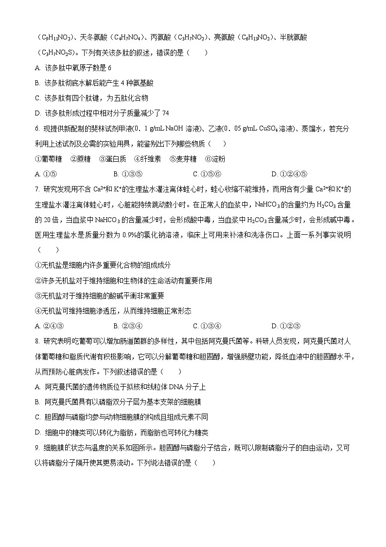 福建省厦门双十中学2023-2024学年高一上学期期中生物试题（含答案）02