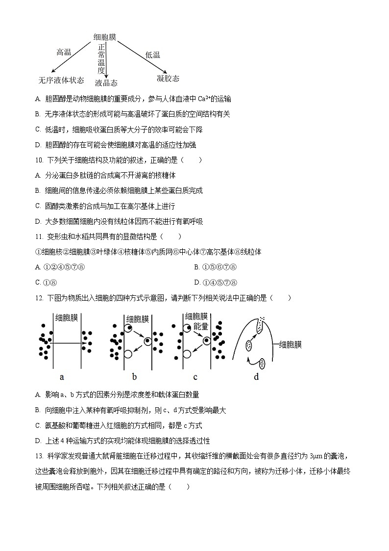 福建省厦门双十中学2023-2024学年高一上学期期中生物试题（含答案）03