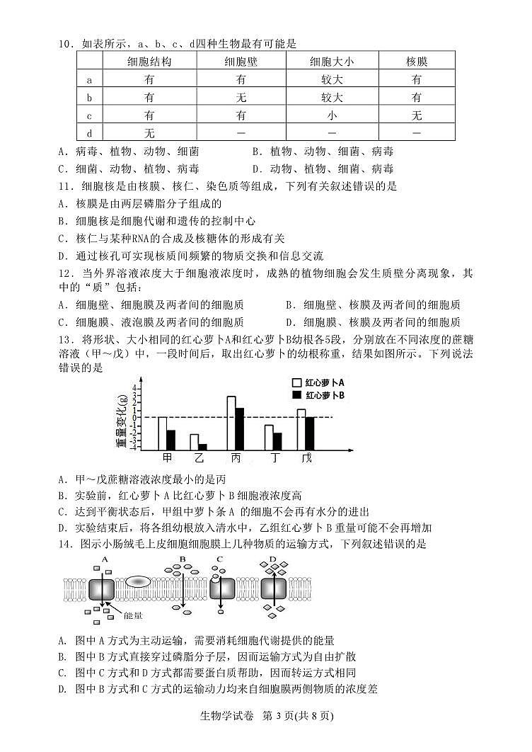 辽宁省丹东市2023-2024学年高一上学期期中教学质量调研测试生物03