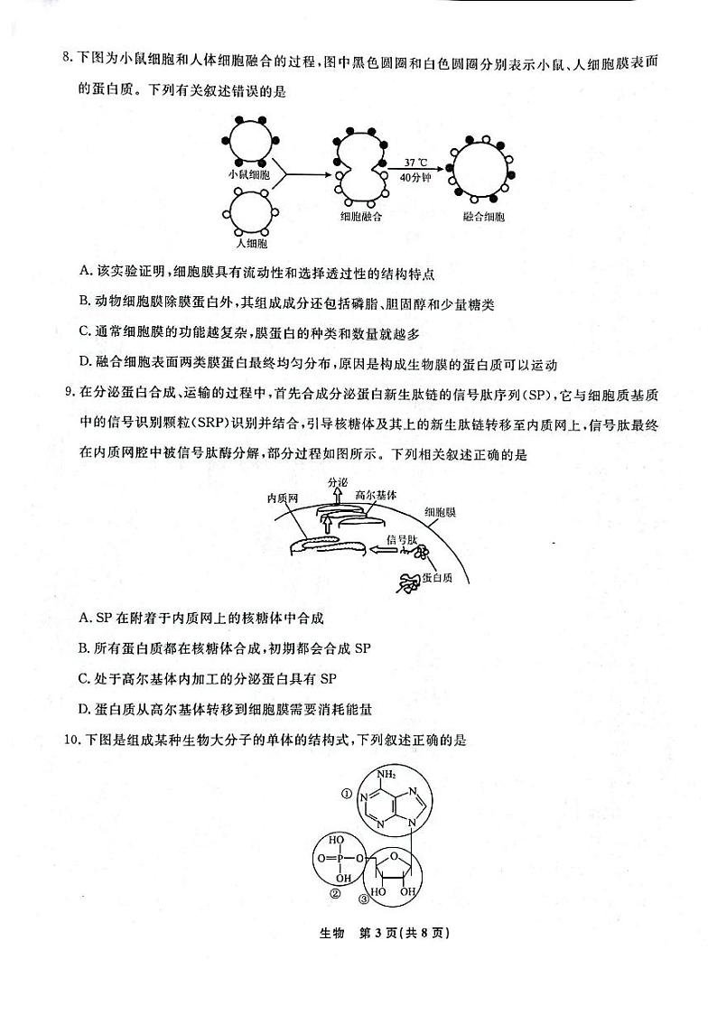辽宁省名校联盟2023-2024学年高一上学期12月月考 生物第3页