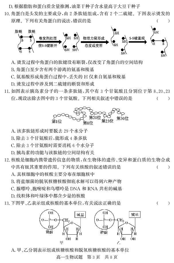 （教研室提供）山东省济宁市泗水县2023-2024学年高一上学期期中考试 生物第3页