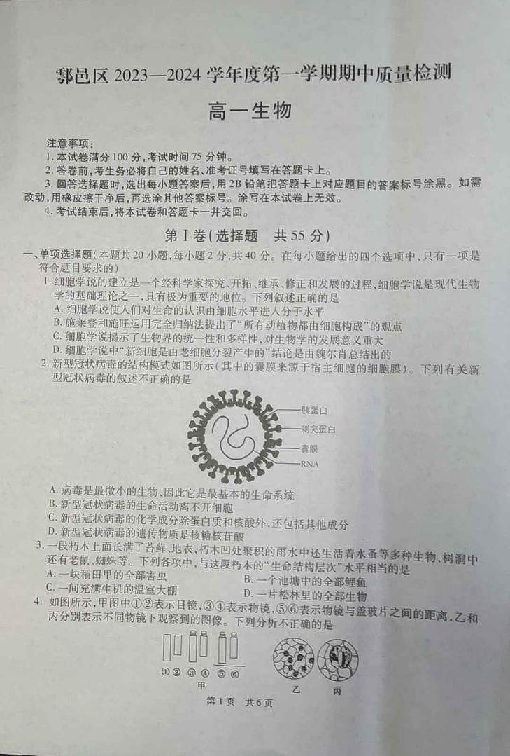 陕西省西安市鄠邑区2023-2024学年高一上学期期中质量检测生物01