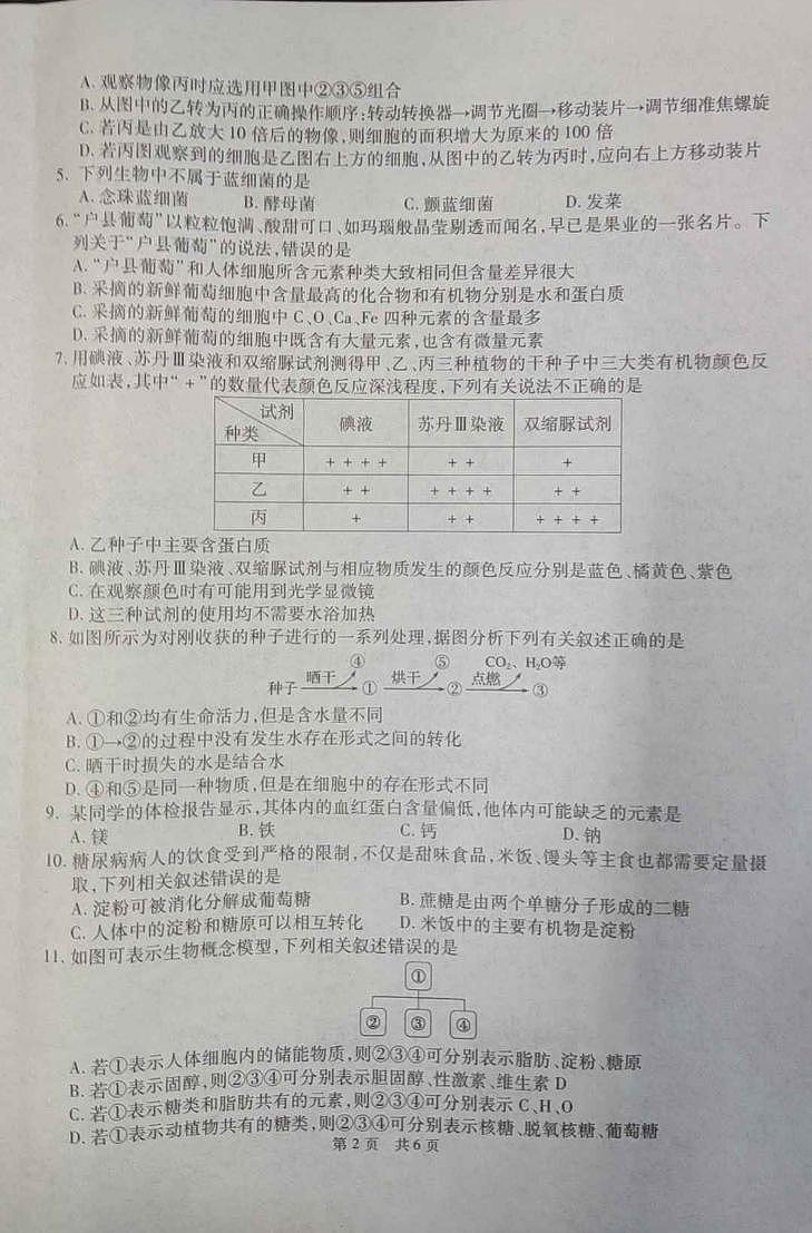 陕西省西安市鄠邑区2023-2024学年高一上学期期中质量检测生物02