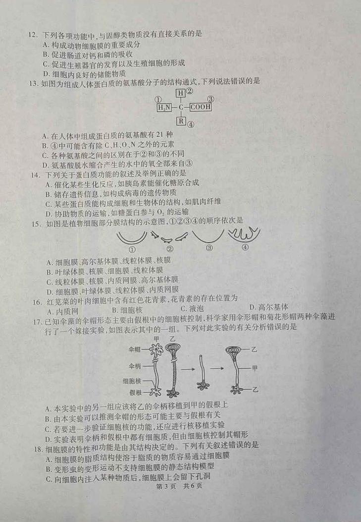 陕西省西安市鄠邑区2023-2024学年高一上学期期中质量检测生物03