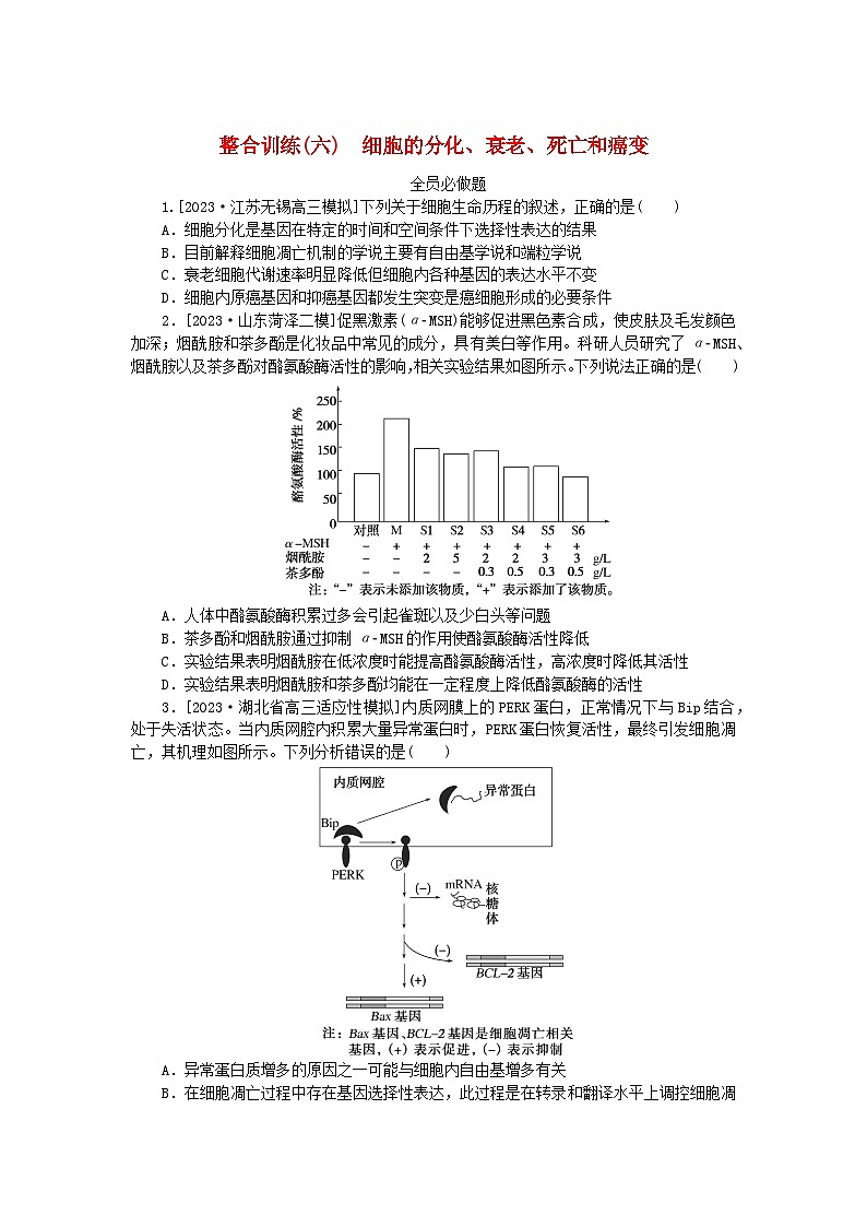 新教材2024高考生物二轮专题复习整合训练6细胞的分化衰老死亡和癌变第1页