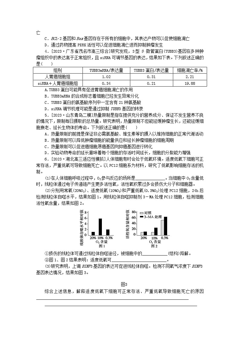 新教材2024高考生物二轮专题复习整合训练6细胞的分化衰老死亡和癌变第2页
