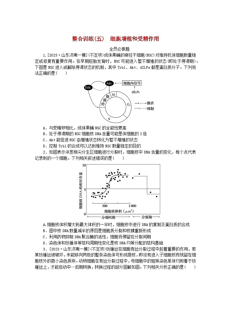 新教材2024高考生物二轮专题复习整合训练5细胞增殖和受精作用01