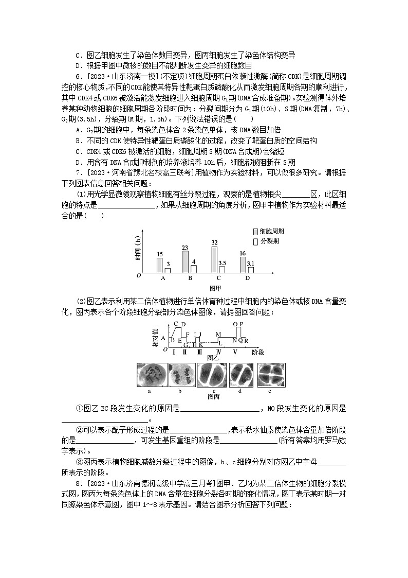 新教材2024高考生物二轮专题复习整合训练5细胞增殖和受精作用03