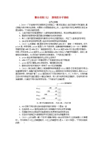 新教材2024高考生物二轮专题复习整合训练7遗传的分子基础