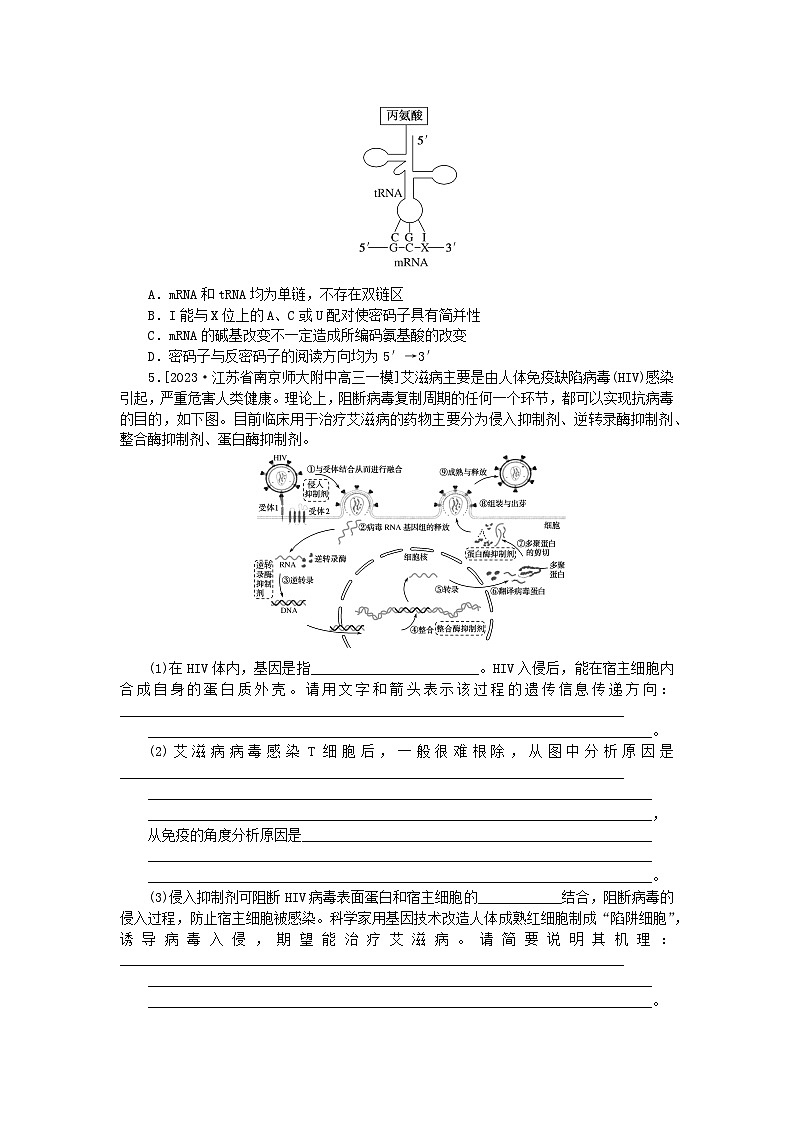 新教材2024高考生物二轮专题复习整合训练7遗传的分子基础第2页