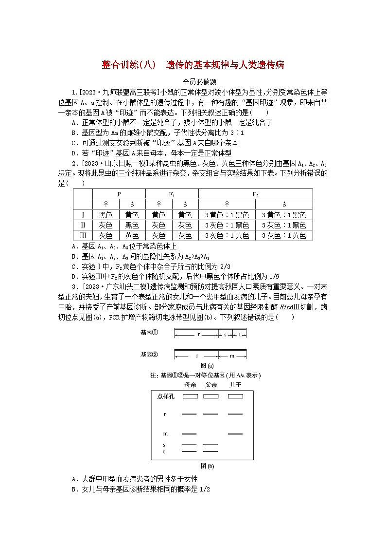新教材2024高考生物二轮专题复习整合训练8遗传的基本规律与人类遗传病第1页