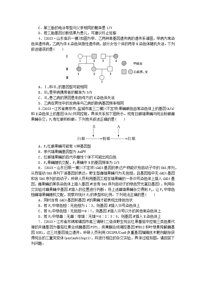 新教材2024高考生物二轮专题复习整合训练8遗传的基本规律与人类遗传病第2页
