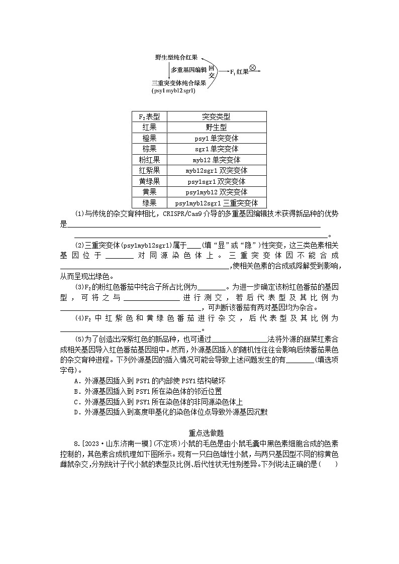 新教材2024高考生物二轮专题复习整合训练8遗传的基本规律与人类遗传病第3页