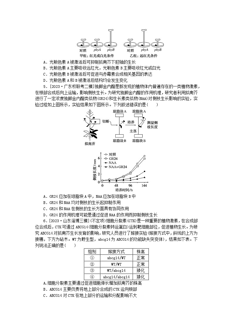 新教材2024高考生物二轮专题复习整合训练10植物生命活动的调节第2页