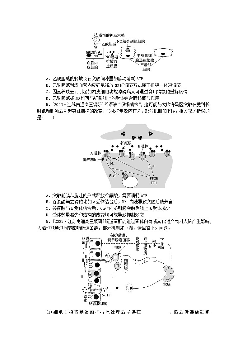 新教材2024高考生物二轮专题复习整合训练11动物生命活动的调节第2页