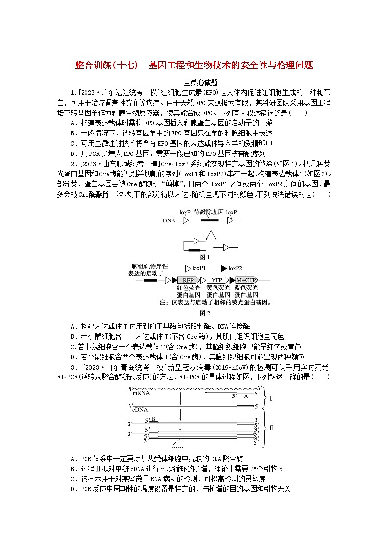 新教材2024高考生物二轮专题复习整合训练17基因工程和生物技术的安全性与伦理问题第1页