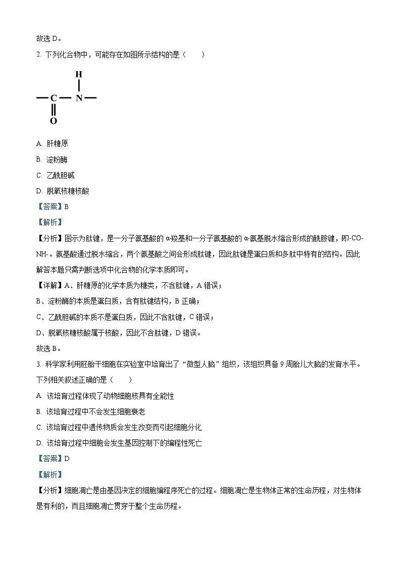 2024浙江省强基联盟高三上学期12月联考生物试题含解析02