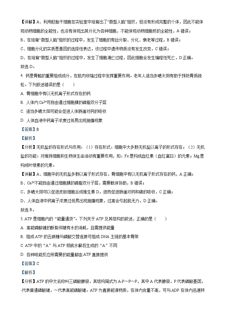 2024浙江省强基联盟高三上学期12月联考生物试题含解析03