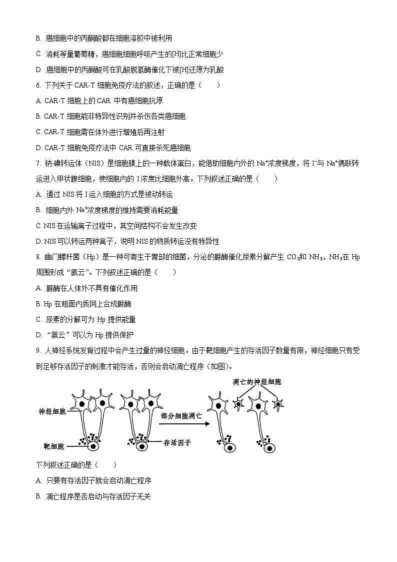 2024嘉兴高三上学期一模生物试题含解析02
