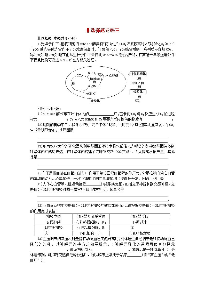 新教材2024届高考生物二轮专项分层特训卷第三部分临考速练非选择题专练三第1页