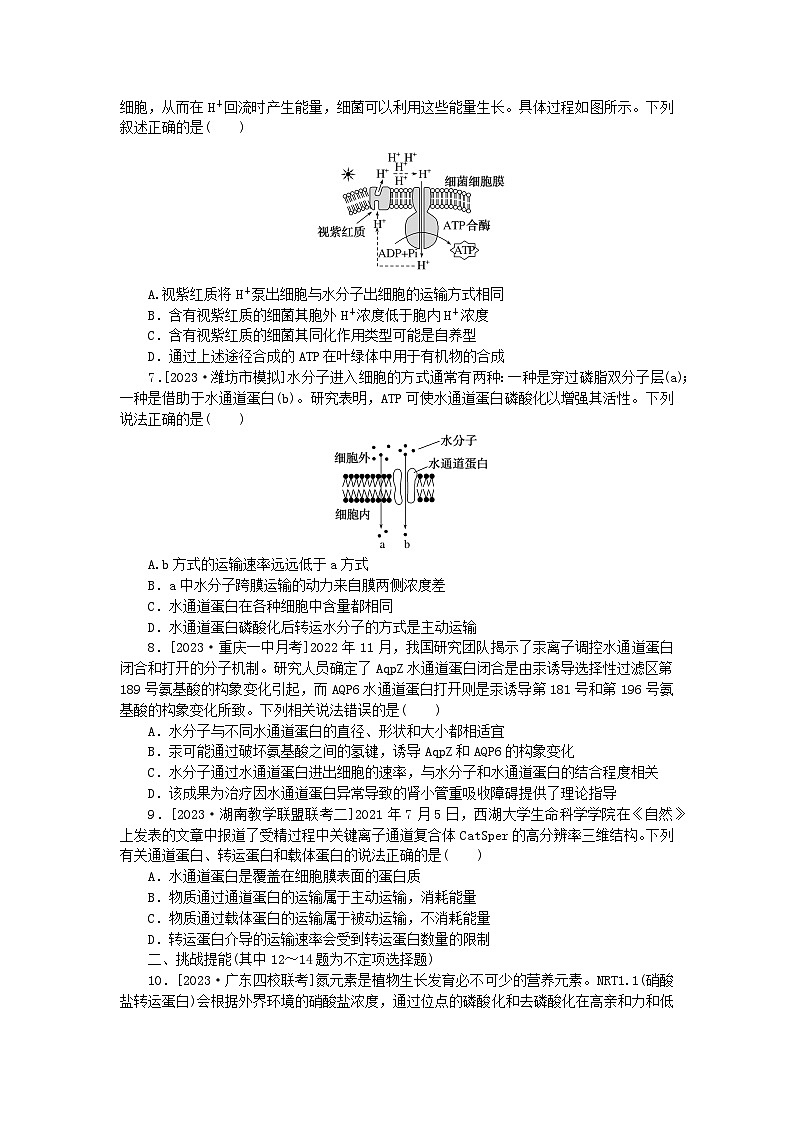 新教材2024届高考生物二轮专项分层特训卷第一部分完善生物学大概念__精练高频考点2细胞与外界的物质交换第2页