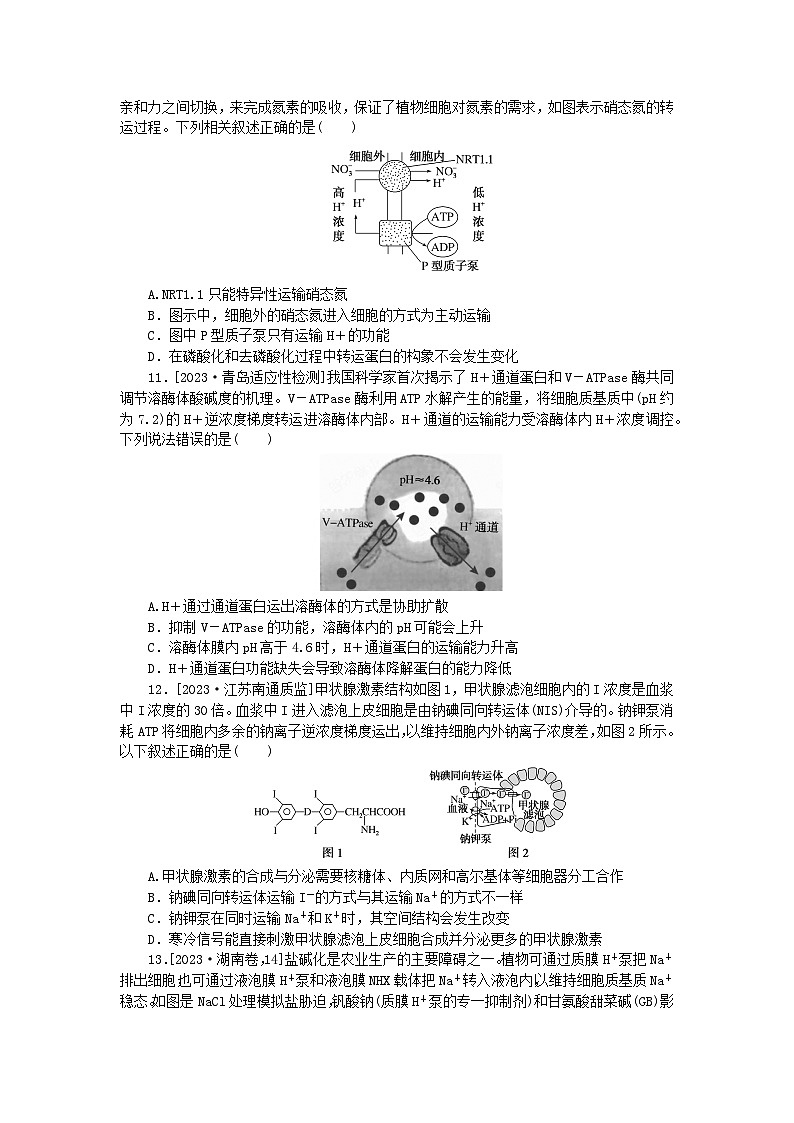 新教材2024届高考生物二轮专项分层特训卷第一部分完善生物学大概念__精练高频考点2细胞与外界的物质交换第3页