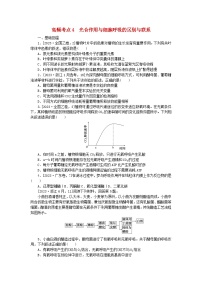 新教材2024届高考生物二轮专项分层特训卷第一部分完善生物学大概念__精练高频考点4光合作用与细胞呼吸的区别与联系