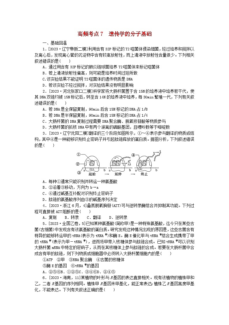 新教材2024届高考生物二轮专项分层特训卷第一部分完善生物学大概念__精练高频考点7遗传学的分子基础第1页
