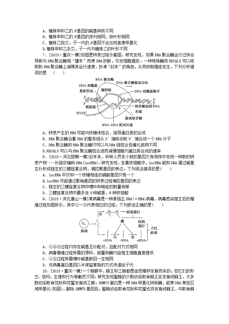 新教材2024届高考生物二轮专项分层特训卷第一部分完善生物学大概念__精练高频考点7遗传学的分子基础第2页