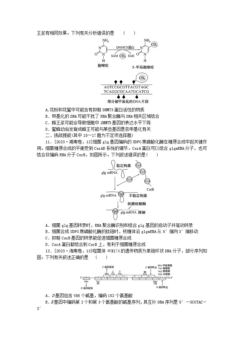 新教材2024届高考生物二轮专项分层特训卷第一部分完善生物学大概念__精练高频考点7遗传学的分子基础第3页