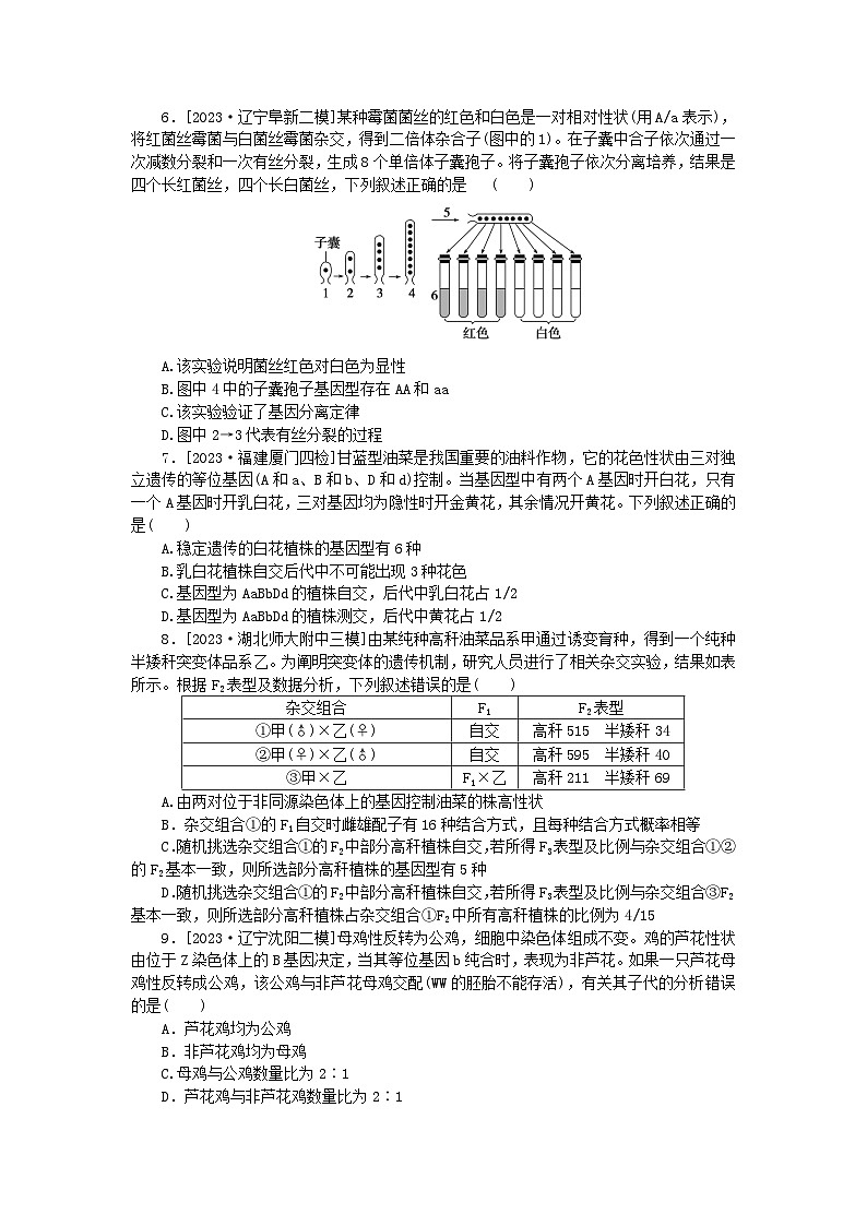 新教材2024届高考生物二轮专项分层特训卷第一部分完善生物学大概念__精练高频考点8遗传的基本规律与人类遗传病第2页