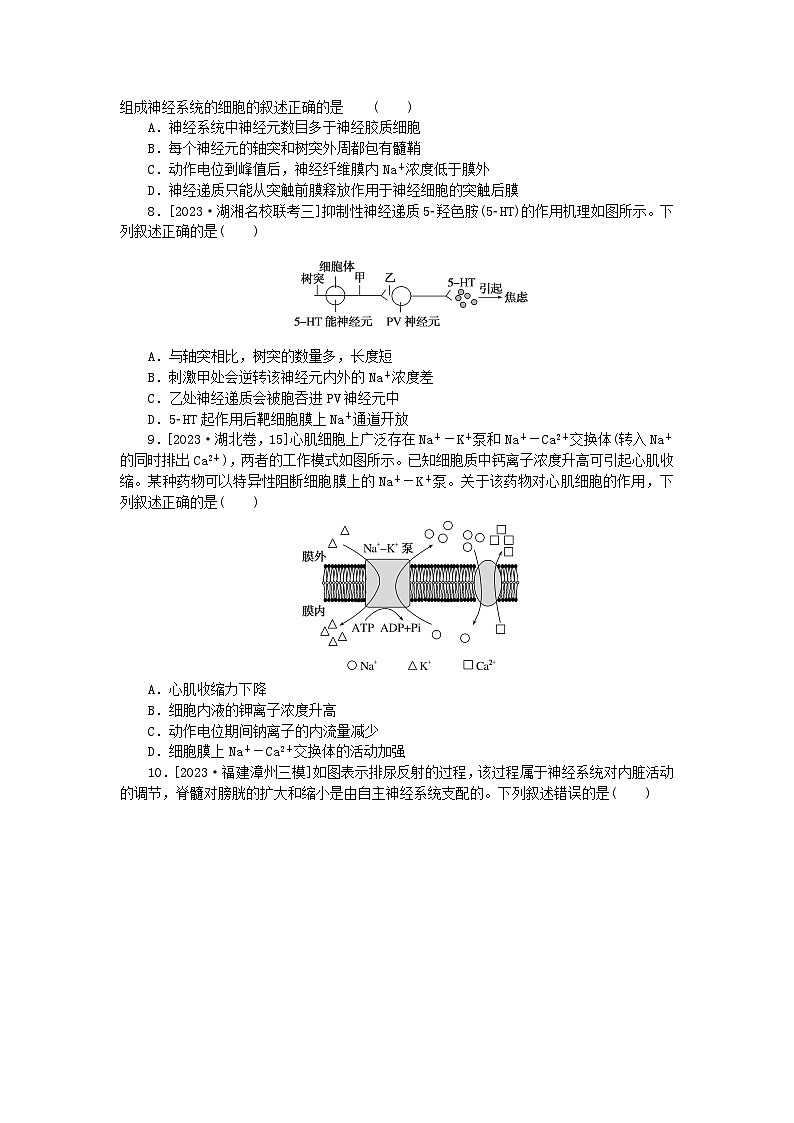 新教材2024届高考生物二轮专项分层特训卷第一部分完善生物学大概念__精练高频考点11神经调节的原理及特点第2页