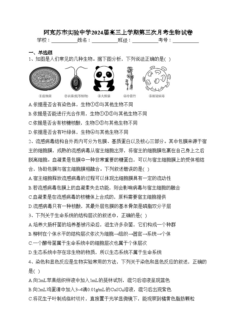 阿克苏市实验中学2024届高三上学期第三次月考生物试卷(含答案)第1页