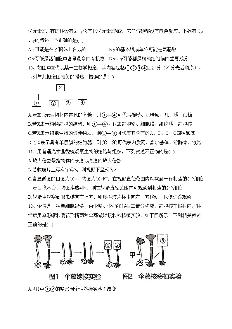 阿克苏市实验中学2024届高三上学期第三次月考生物试卷(含答案)第3页