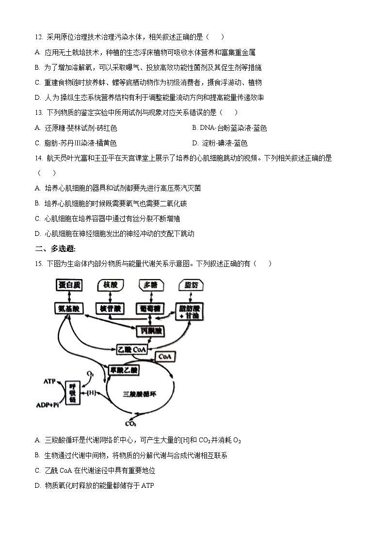 2022年新教材江苏生物高中考试真题（原卷版）第3页