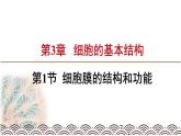 高中必修一生物《第5节 核酸是遗传信息的携带者》ppt课件3-统编人教版