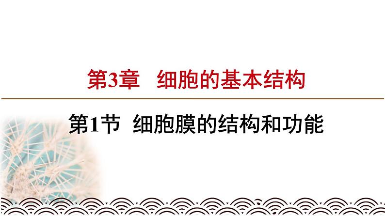 高中必修一生物《第5节 核酸是遗传信息的携带者》ppt课件3-统编人教版第1页