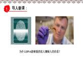 高中必修一生物《第5节 核酸是遗传信息的携带者》ppt课件3-统编人教版
